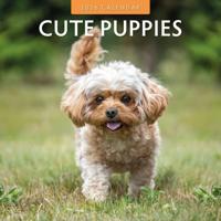 Cute Puppies Kalender 2026 - thumbnail