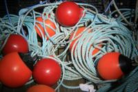 Holga PinholeLens for Canon DSLR camera - thumbnail