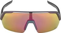 Alpina Turbo HR Q-Lite - Sports Glasses - thumbnail