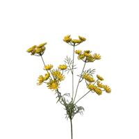 Roberts Collection Kunstbloem dille 80cm geel - thumbnail