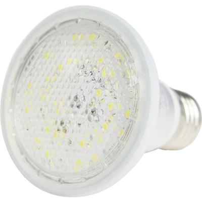 Venso LED-plantenlamp Grow Lights Winter 100 mm E27 7 W Daglichtwit 1 stuk(s)