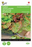 Zaden Pluksla Amerikaanse Roodrand Buzzy - Buzzy - thumbnail