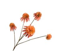 Rudbeckia zalm 90 cm kunstbloem Buitengewoon de Boet - Buitengewoon de boet - thumbnail