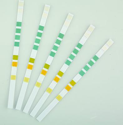 Oase AquaActiv QuickSticks 6in1 Vijver Teststrips - Waterkwaliteit Analyse, 50 Stuks