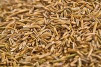 WOLF-Garten 3826636 LR-S 50 Turbo Gazonherstel schaduw voor 50 m² 1 stuk(s) - thumbnail