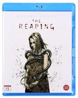 Majeng Media BD The Reaping (DK) - thumbnail