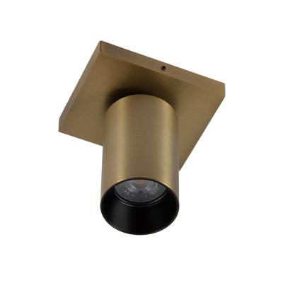 Lynn 1 Opbouwspot Messing met Smart RGB LED