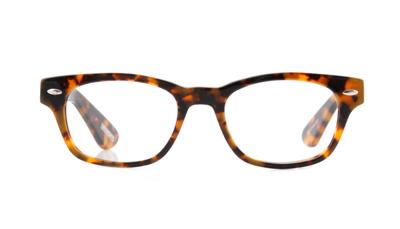 Leesbril Frank and Lucie Eyebrow-FL11100-Havanna -+1.00