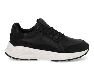 Xsensible Rainbow 33011.3 001 black Zwart maat 41