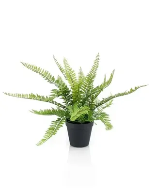Kunstplant Varen in pot - 35cm