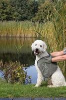 Trixie microvezel handdoek met insteekzakken grijs - thumbnail
