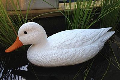 Ubbink Vijverdecoratie eend wt