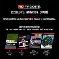 Antikristalliserend middel - FACOM - Universele ureum - 250 ml - thumbnail