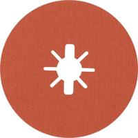 Bosch Accessories 2608621810 Fiberschijf Diameter 125 mm Boordiameter 22.23 mm 5 stuk(s) - thumbnail