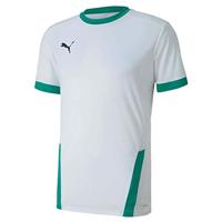 PUMA TeamGOAL 23 Trainingsshirt Wit Groen - thumbnail
