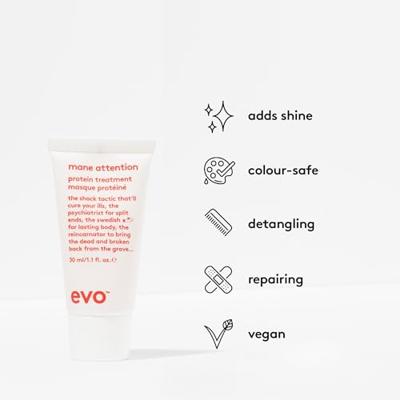 Evo Mane Attention Protein Treatment