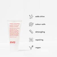 Evo Mane Attention Protein Treatment - thumbnail