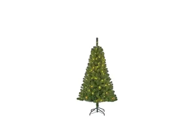 Black Box Kerstboom Charlton met led groen h120 x d76cm