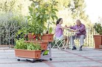 Bama orto di kit plantenbakken 80x74x73 cm terracotta - thumbnail