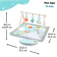 Disney speelkleed, WINNIE THE POOH - BRIGHT STARTS - Once Upon a Tummy Time - Houten activiteitenboog - Blauw - Newborns en + - thumbnail