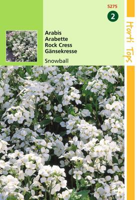 Zaden Arabis Scheefkelk Snowball Hortitops - Hortitops
