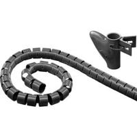 Spiraalslang - thumbnail