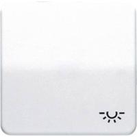 Jung CD590LWW Wipschakelaar licht Afdekking 1-voudig Alpine-wit 1 stuk(s) - thumbnail