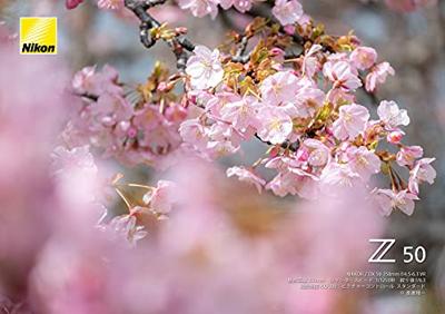 Nikon NIKKOR Z DX 50-250mm F/4.5-6.3 VR - thumbnail