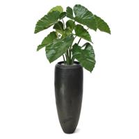 Alocasia Calidora kunstplant 70cm - thumbnail