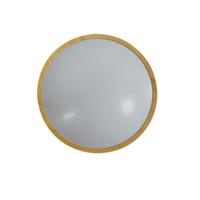 Ledlamp Silver Electronics 490511 - thumbnail