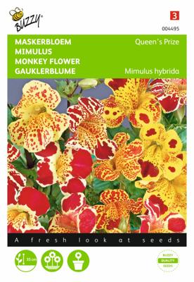 Mimulus, Maskerbloem Queen's Prize gemengd