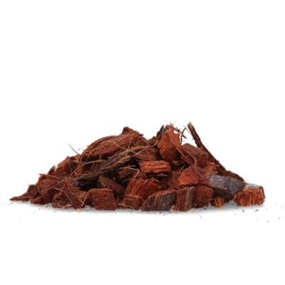 Shield Up Stay Away Kat/Woelrat/Mol