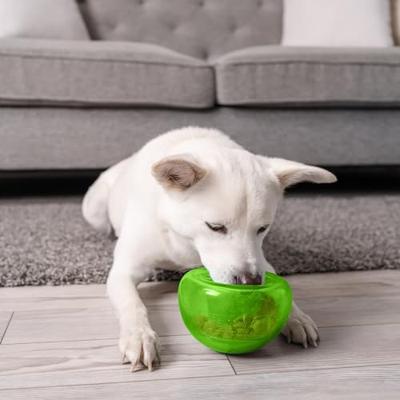 Outward Hound Orbee-Tuff Snoop L Groen