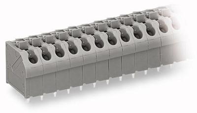 WAGO 250-510 Veerkrachtklemblok 1.00 mm² Aantal polen 10 Grijs 1 stuk(s)