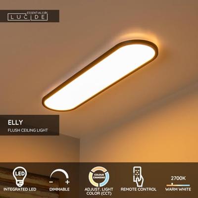 Lucide ELLY - Plafonnière - LED Dimb. - CCT - 1x36W 2700K/4000K - Opaal | Essential