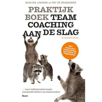 Praktijkboek Teamcoaching, aan de slag (Paperback)