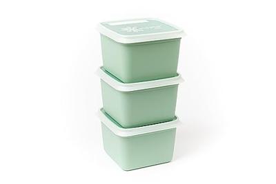 DBP Alaska Diepvriesdozen Vierkant 0.5L 3 Stuks Mintgroen