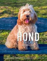 Hond & Co Agenda 2026 - thumbnail