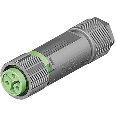Wieland Electric 46.031.4555.7 Ronde connector Koppeling, recht Totaal aantal polen: 2 + PE Serie (ronde connectoren): RST® MINI 1 stuk(s)