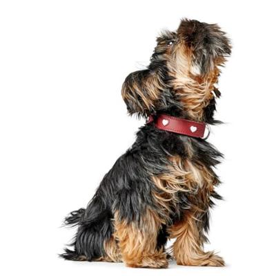 HUNTER Hondenhalsband Love, bruin, Maat: 75