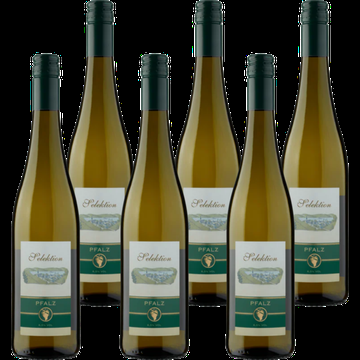 Peter Mertes Selektion 6 x 750ml bij Jumbo Peter Mertes Selektion 6 x 750ml bij Jumbo