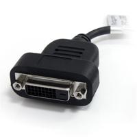 Adapter DisplayPort naar DVI Startech DP2DVIS Zwart - thumbnail