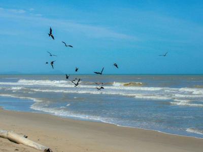 Meeuwen zee 70x50cm Tuinschilderij Customize-it - Customize it