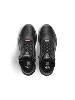 Ara 1224808 - alle - thumbnail