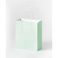 Tas handvat folia kraftpapier 110gr 18x21x8cm 7kl - thumbnail