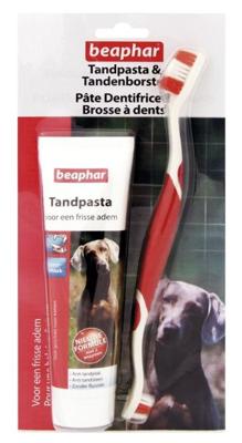 Tandpasta & Borstel Combipack hond/kat Beaphar - Beaphar