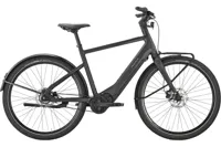 Pegasus Versario Evo Elektrische Herenfiets 28 inch 45cm Belt 5v - thumbnail