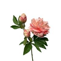 Roberts Collection Kunstbloem peony spray 64cm peach - thumbnail