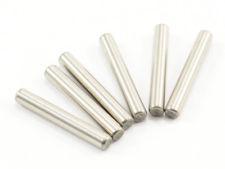 Outlaw Pin 2x13MM (6PCS) (FTX8342)