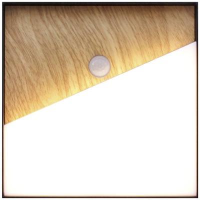 ECO-Light MEG + PIR 9490-Q-PIR WO LED-wandlamp met bewegingsmelder LED vast ingebouwd 5 W LED Hout ECO-Light MEG + PIR 9490-Q-PIR WO LED-wandlamp met bewegingsmelder LED vast ingebouwd 5 W LED Hout